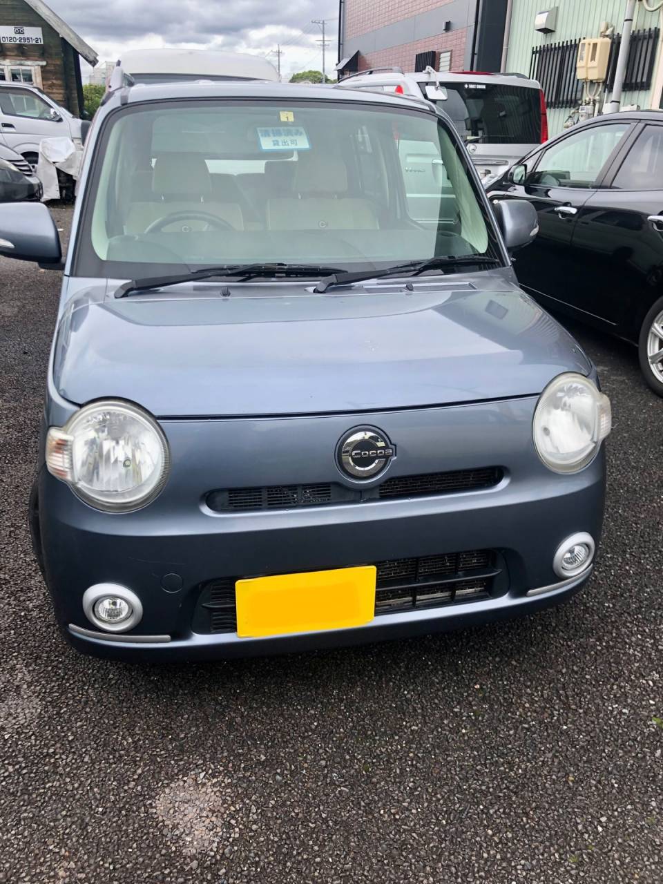 ココア(グレー)